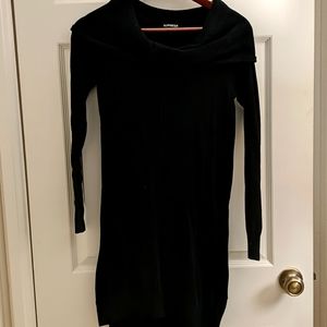 Express Sweater Dress
